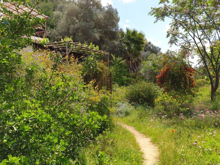 2 soveværelse Finca/Landehus til salg i Sanlucar de Guadiana med swimmingpool garage - € 180.000 (Ref: 9227846)