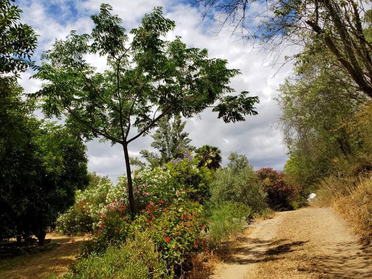 2 soveværelse Finca/Landehus til salg i Sanlucar de Guadiana med swimmingpool garage - € 180.000 (Ref: 9227846)