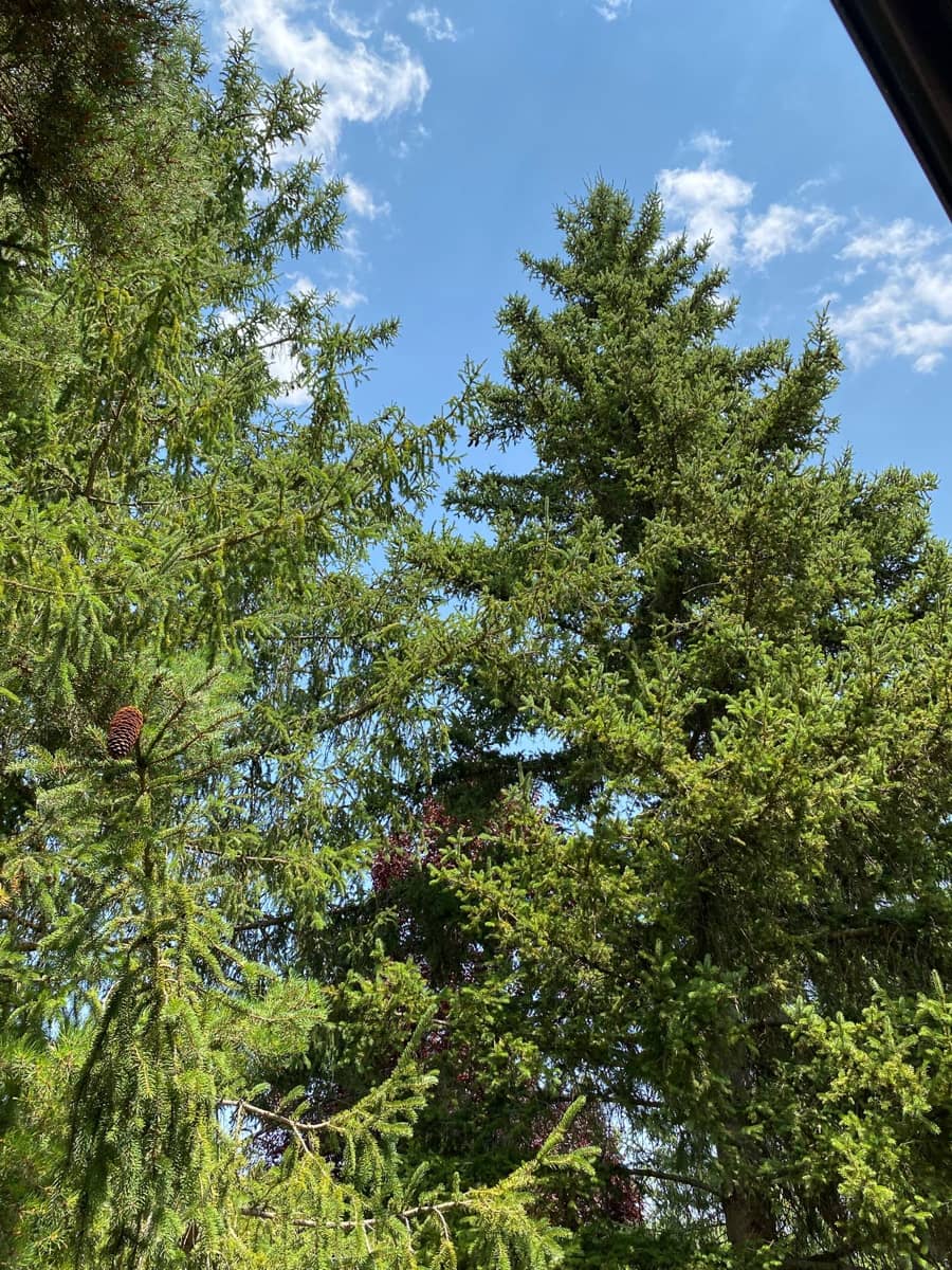 4 soveværelse Byhus til salg i Cedillo de la Torre med garage - € 244.000 (Ref: 9251465)