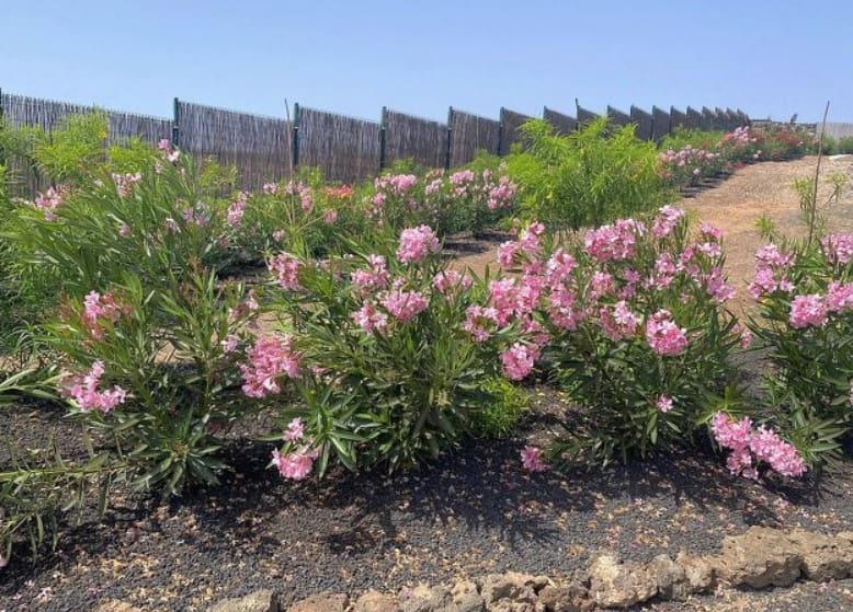 3 soverom Finca/Herregård til salgs i Costa Calma med garasje - € 1 139 000 (Ref: 9245642)