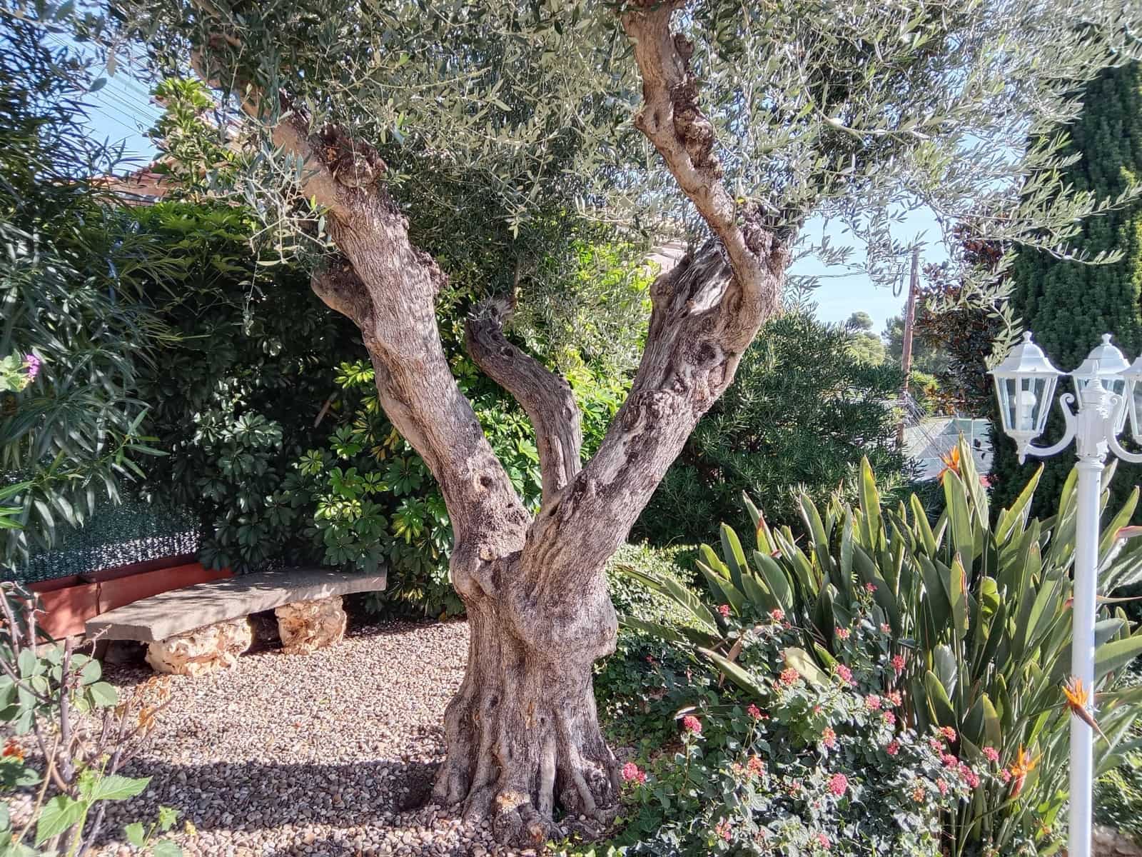 4 chambre Villa/Maison à vendre à Santa Susanna avec piscine garage - 580 000 € (Ref: 9956057)
