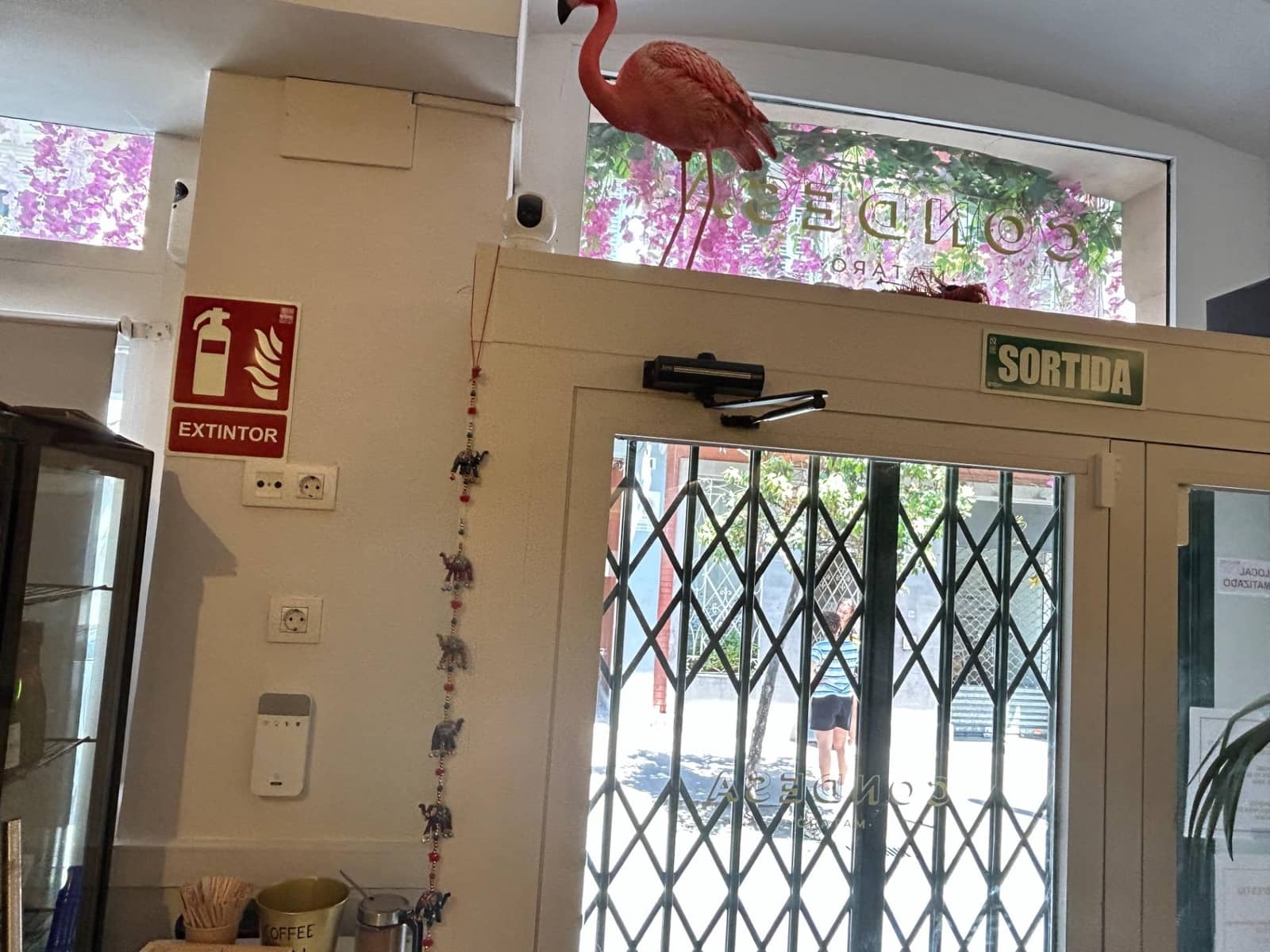 Business for rent in Mataro - € 800 (Ref: 9958096)