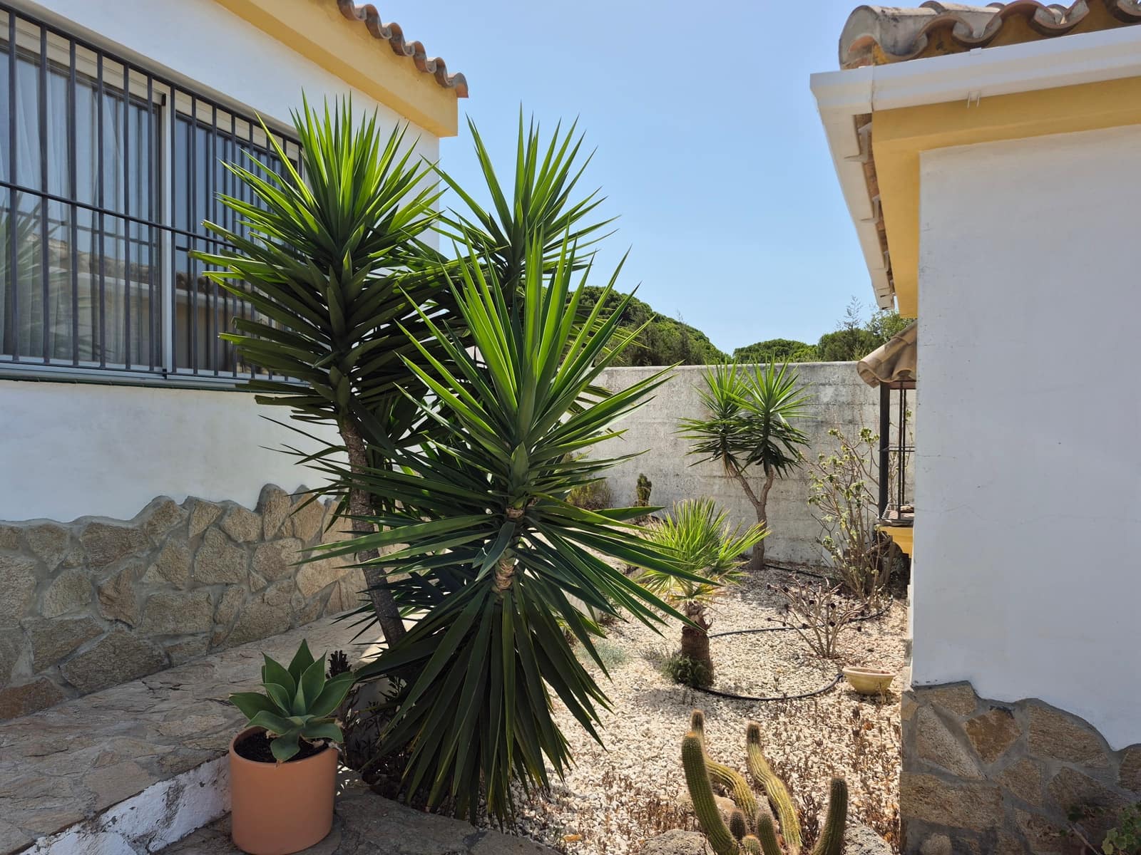 3 quarto Moradia para venda em Los Canos de Meca - 780 000 € (Ref: 10044243)