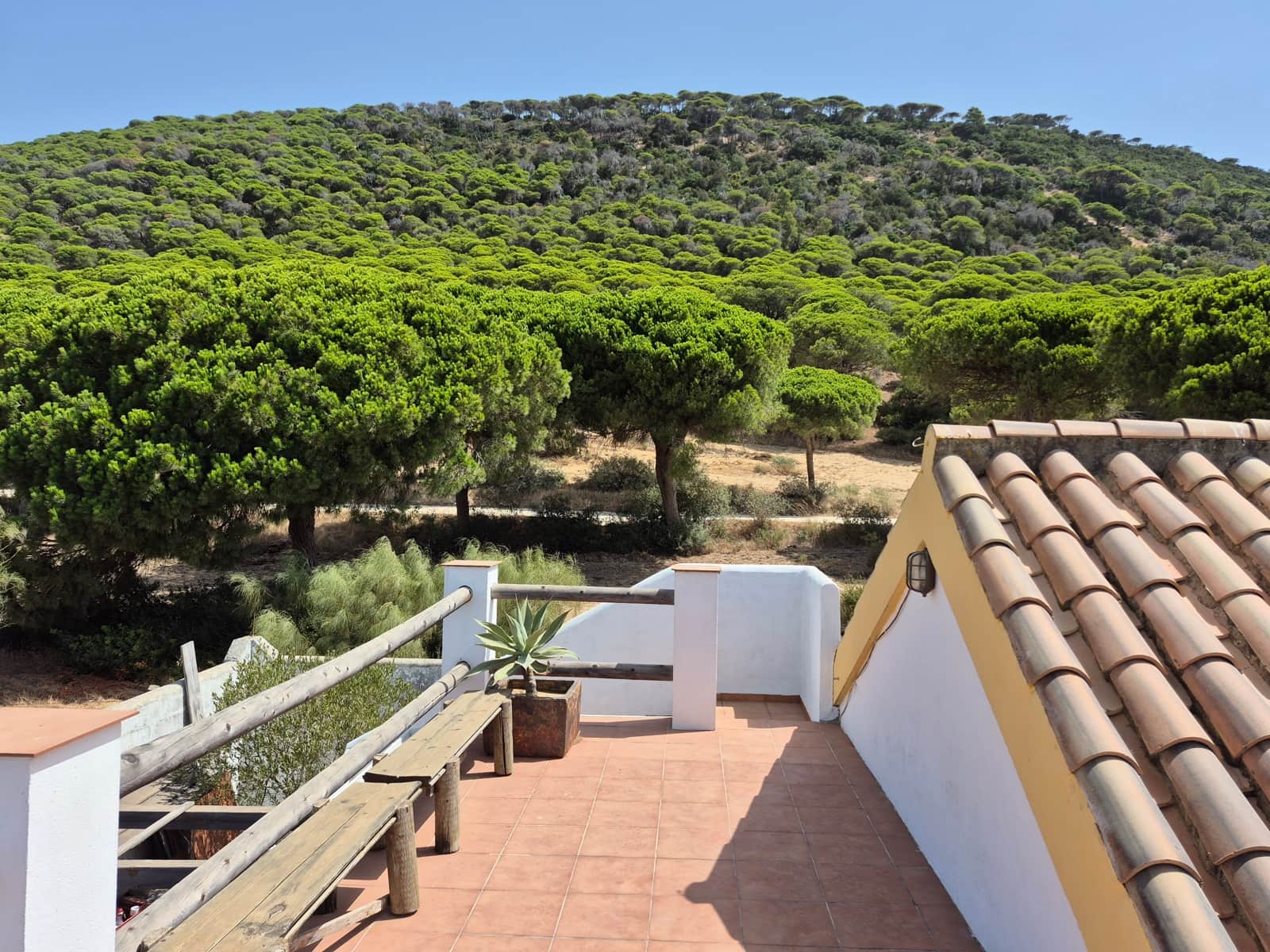 3 quarto Moradia para venda em Los Canos de Meca - 780 000 € (Ref: 10044243)