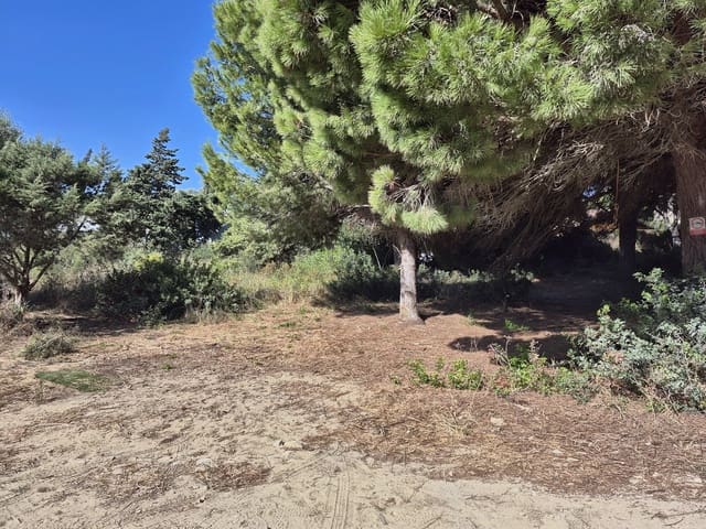 Terreno Não Urbanizado para venda em Los Caños de Meca, Barbate - 105 000 € (Ref: 10117145)