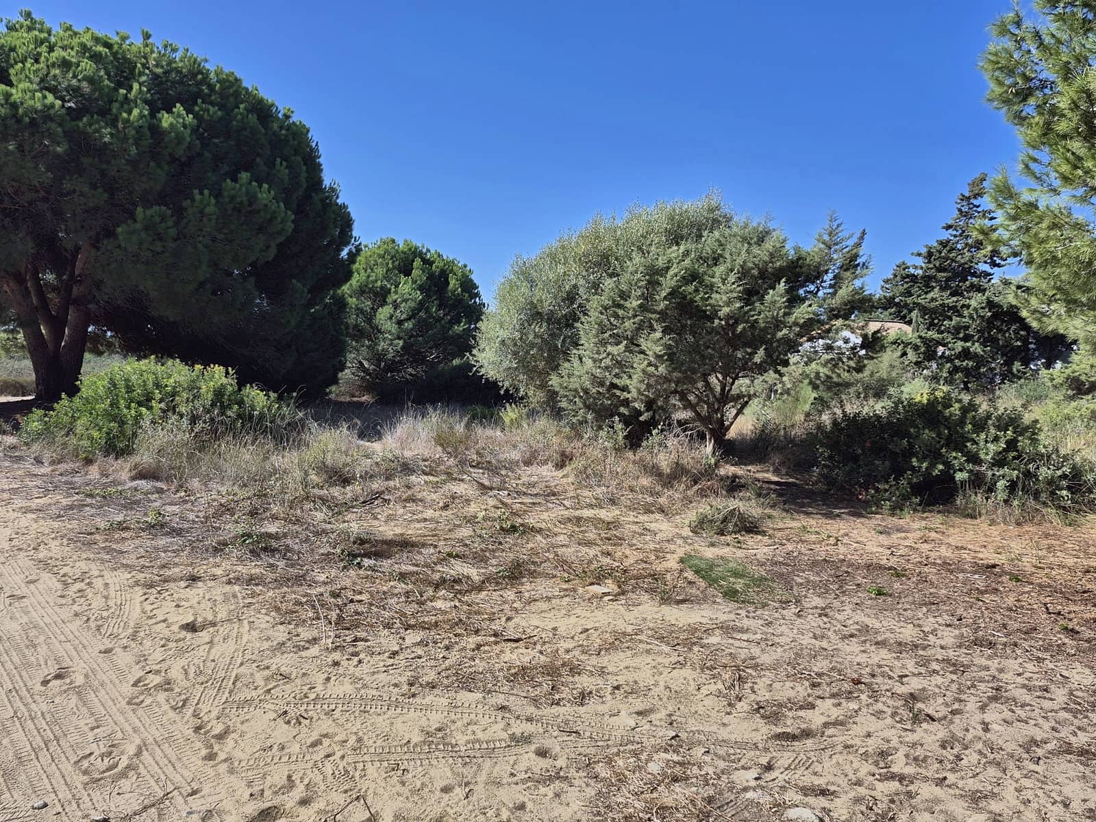 Terreno Não Urbanizado para venda em Los Canos de Meca - 105 000 € (Ref: 10117145)