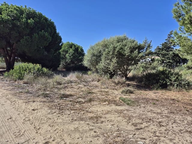 Terreno Não Urbanizado para venda em Los Caños de Meca, Barbate - 105 000 € (Ref: 10117145)
