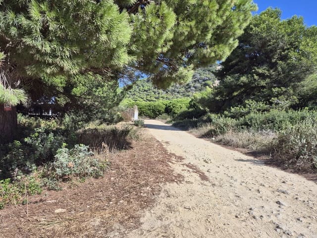 Terreno Não Urbanizado para venda em Los Caños de Meca, Barbate - 105 000 € (Ref: 10117145)