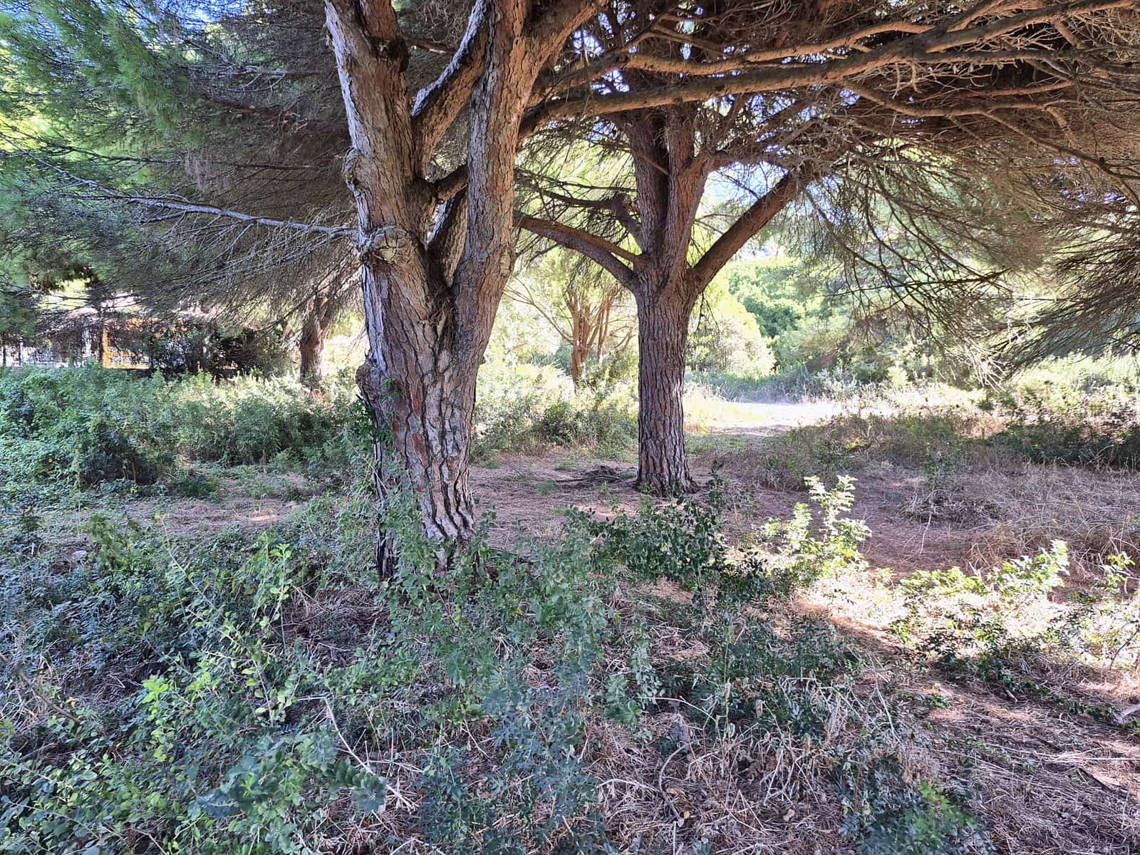 Terreno Não Urbanizado para venda em Los Canos de Meca - 105 000 € (Ref: 10117145)