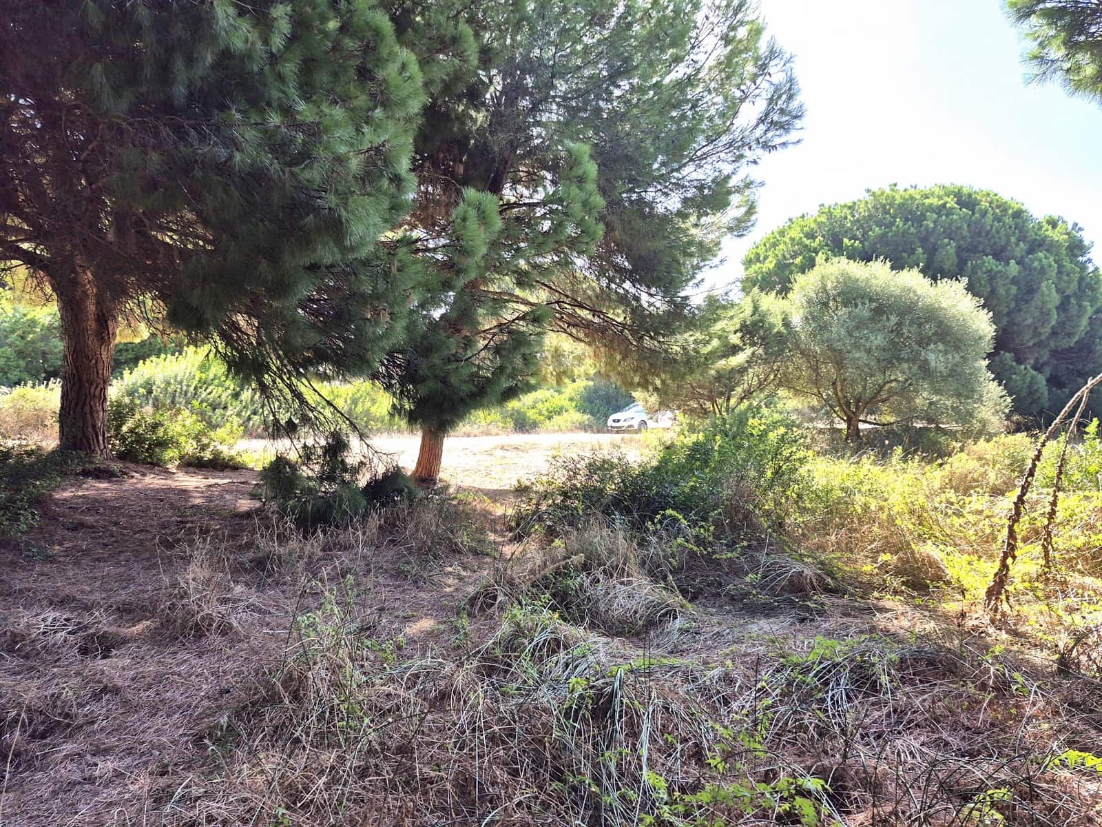 Terreno Não Urbanizado para venda em Los Canos de Meca - 105 000 € (Ref: 10117145)