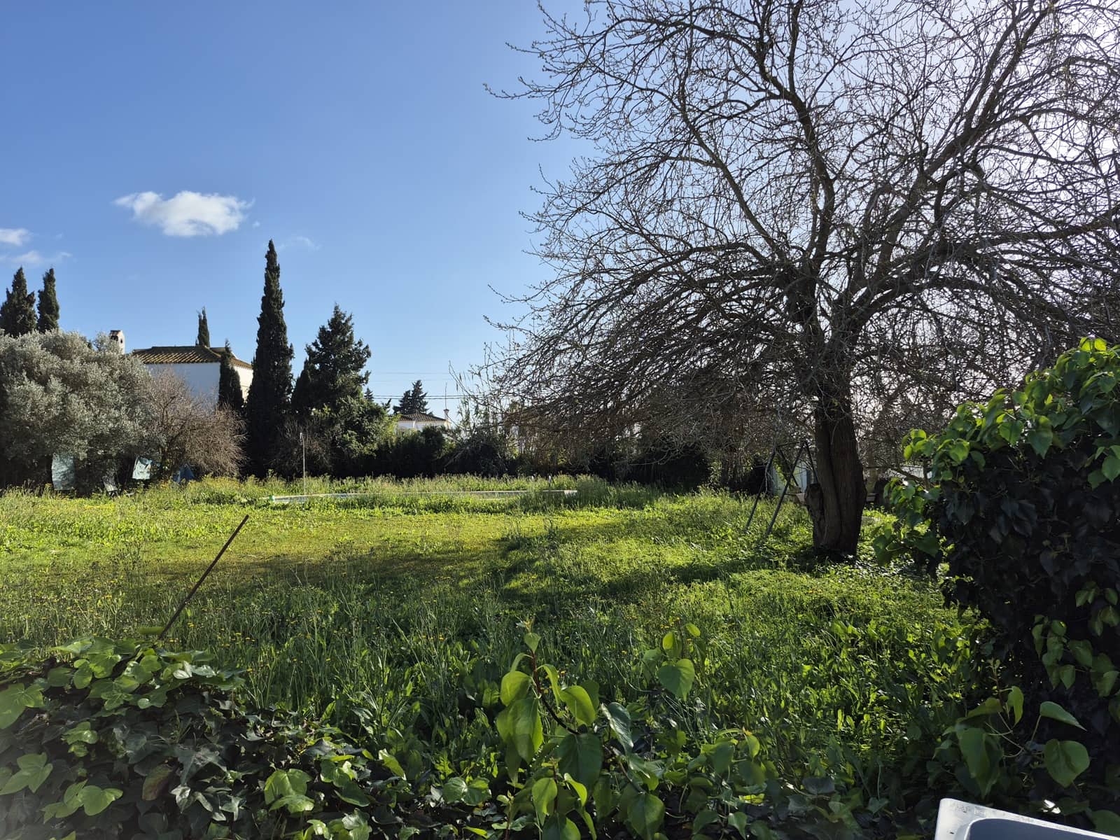 4 camera da letto Villa in vendita in Conil de la Frontera con piscina - 335.000 € (Rif: 9858729)