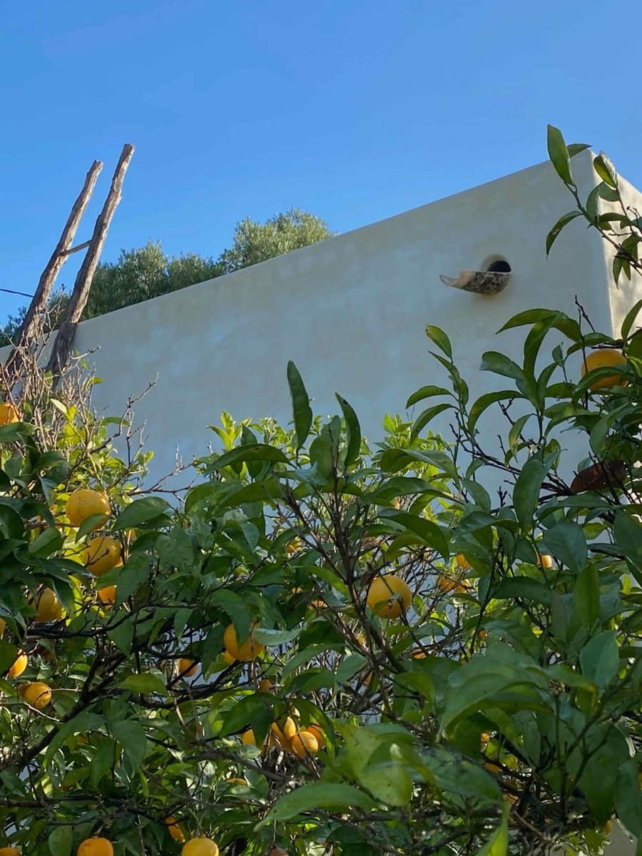 Undeveloped Land for sale in Conil de la Frontera - € 350,000 (Ref: 9889552)