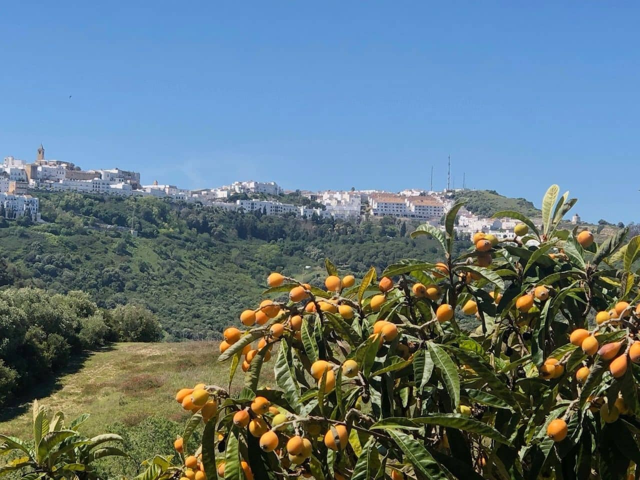 Undeveloped Land for sale in Conil de la Frontera - € 350,000 (Ref: 9889552)