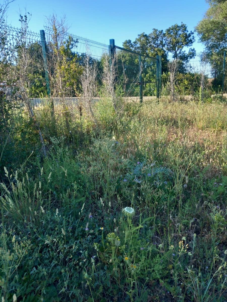 Undeveloped Land for sale in Conil de la Frontera - € 350,000 (Ref: 9889552)