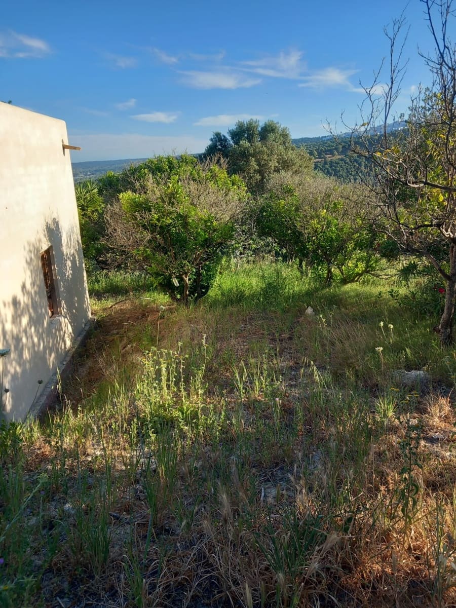 Undeveloped Land for sale in Conil de la Frontera - € 350,000 (Ref: 9889552)
