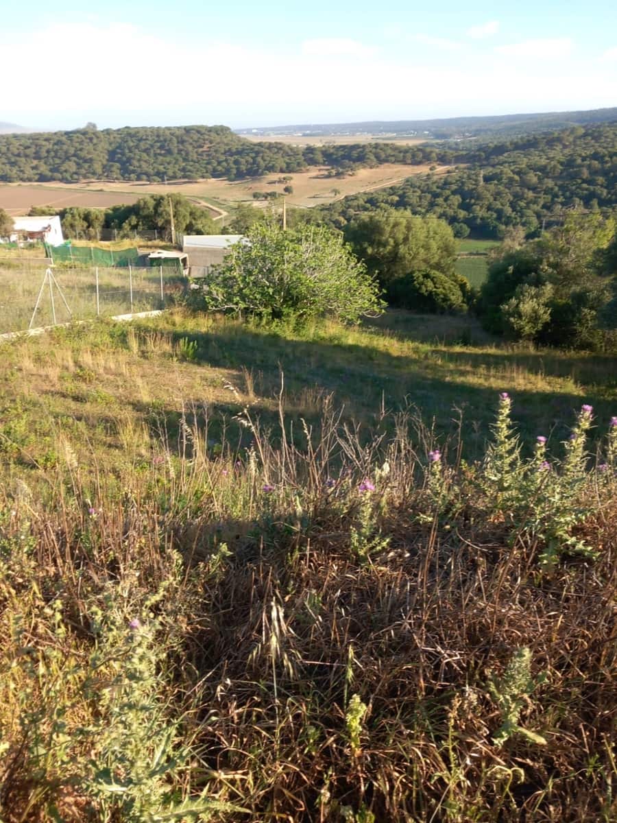 Undeveloped Land for sale in Conil de la Frontera - € 350,000 (Ref: 9889552)