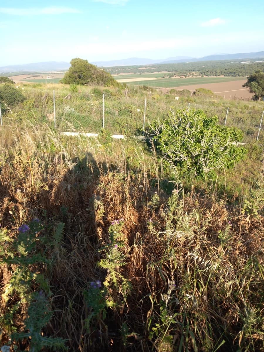 Undeveloped Land for sale in Conil de la Frontera - € 350,000 (Ref: 9889552)