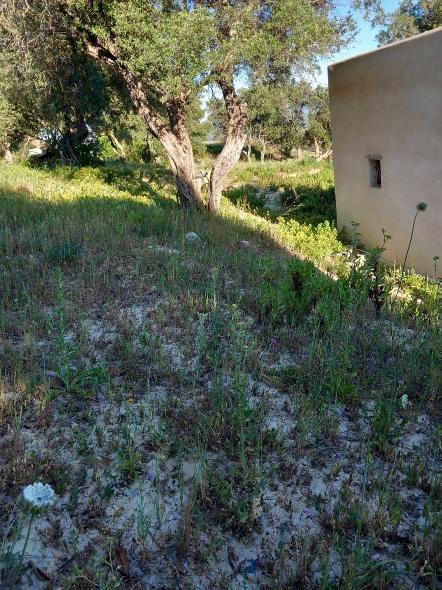 Undeveloped Land for sale in Conil de la Frontera - € 350,000 (Ref: 9889552)