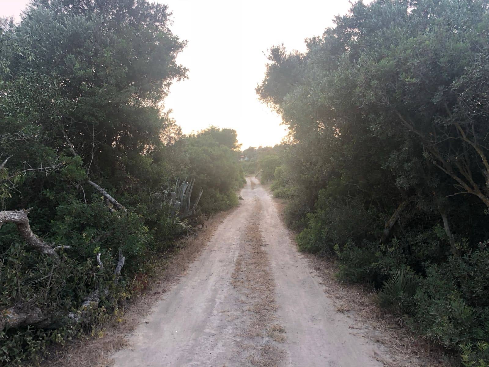 Undeveloped Land for sale in Conil de la Frontera - € 350,000 (Ref: 9889552)