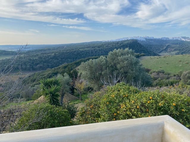 Undeveloped Land for sale in Conil de la Frontera - € 350,000 (Ref: 9889552)