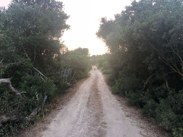 Undeveloped Land for sale in Conil de la Frontera - € 350,000 (Ref: 9889552)