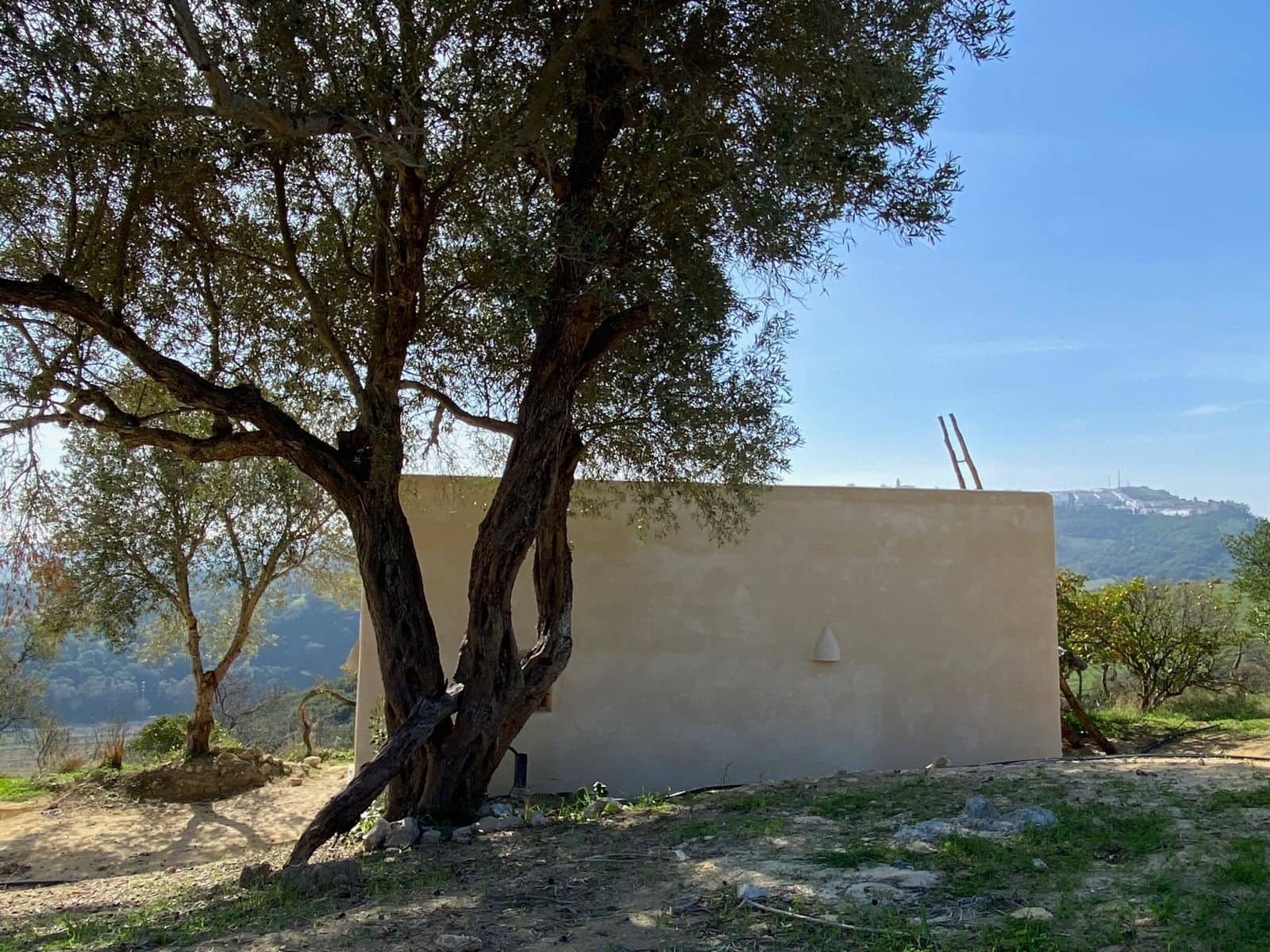 Undeveloped Land for sale in Conil de la Frontera - € 350,000 (Ref: 9889552)