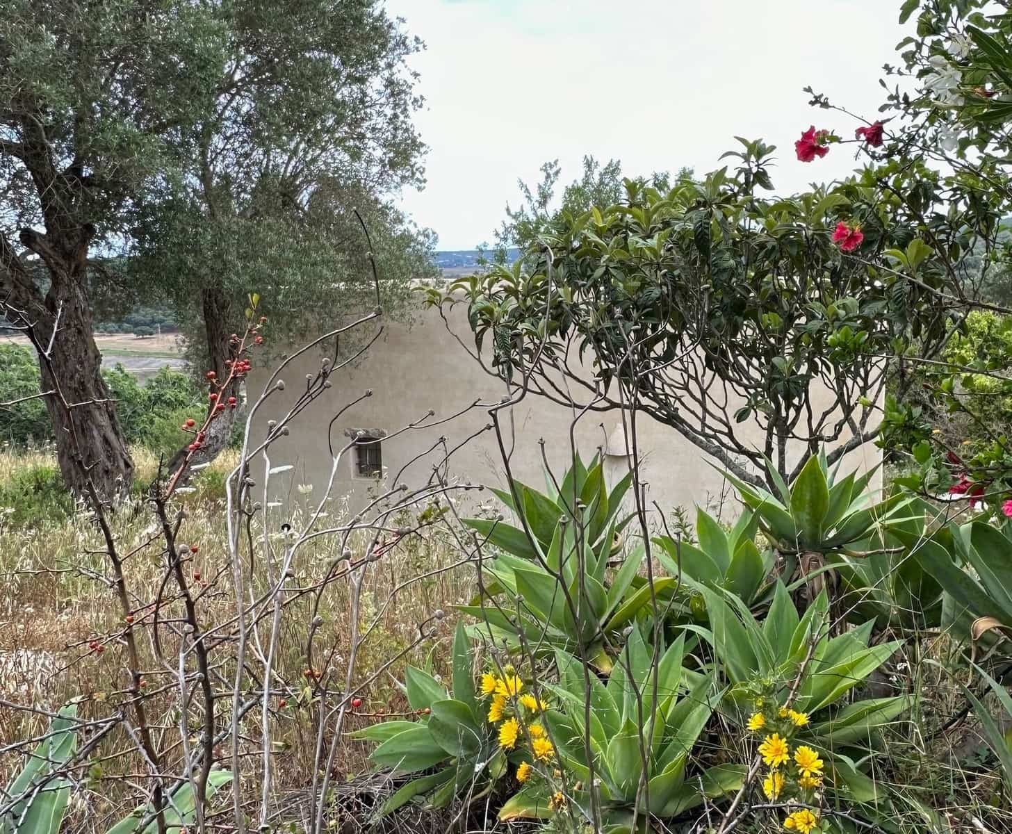 Undeveloped Land for sale in Conil de la Frontera - € 350,000 (Ref: 9889552)