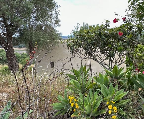 Undeveloped Land for sale in Conil de la Frontera - € 350,000 (Ref: 9889552)