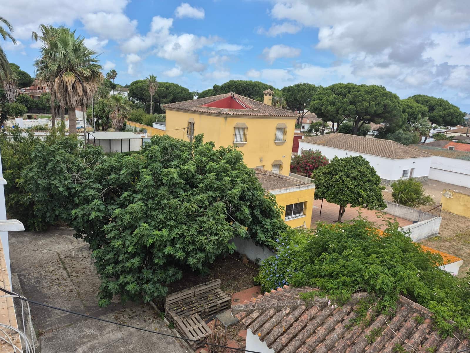 Grunde uden byggetilladelser til salg i Conil de la Frontera - € 490.000 (Ref: 9914630)
