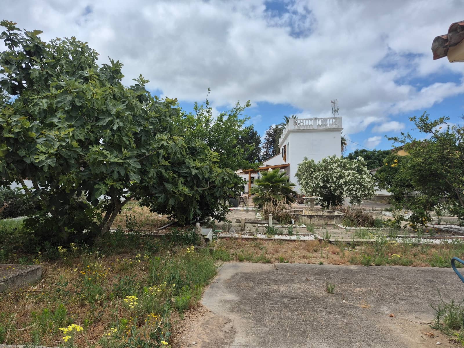Grunde uden byggetilladelser til salg i Conil de la Frontera - € 490.000 (Ref: 9914630)
