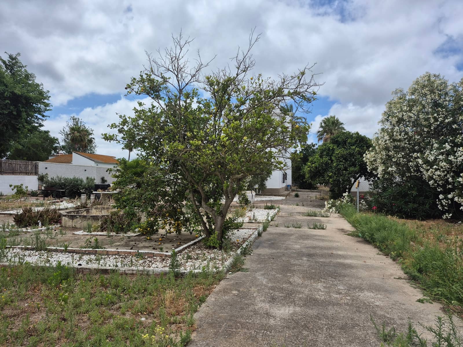 Grunde uden byggetilladelser til salg i Conil de la Frontera - € 490.000 (Ref: 9914630)