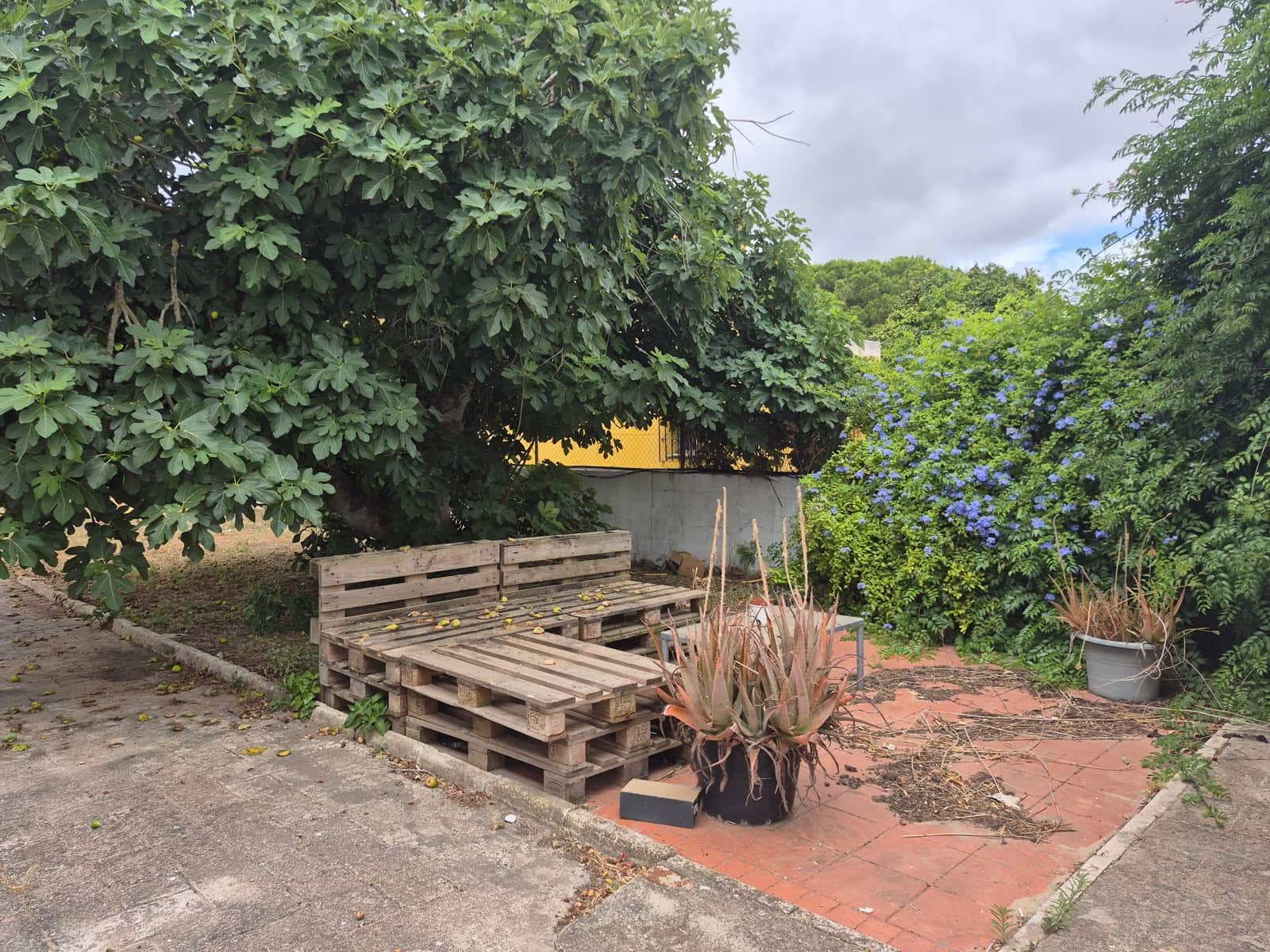 Grunde uden byggetilladelser til salg i Conil de la Frontera - € 490.000 (Ref: 9914630)