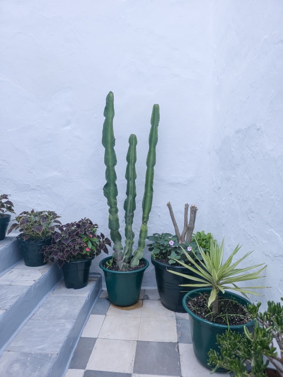 2 soverom Leilighet til salgs i Vejer de la Frontera - € 199 000 (Ref: 9935050)