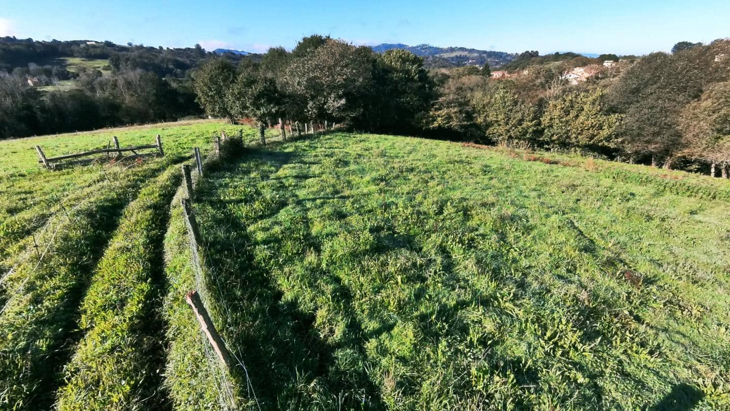 Grunde uden byggetilladelser til salg i Siero - € 35.000 (Ref: 9314317)