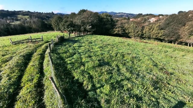 Mark till salu i Siero - 35 000 € (Ref: 9314317)