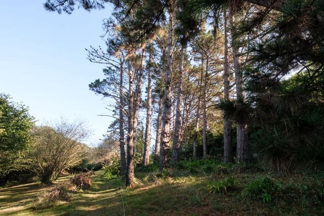 7 soveværelse Villa til salg i Gijón med garage - € 1.075.000 (Ref: 9371432)