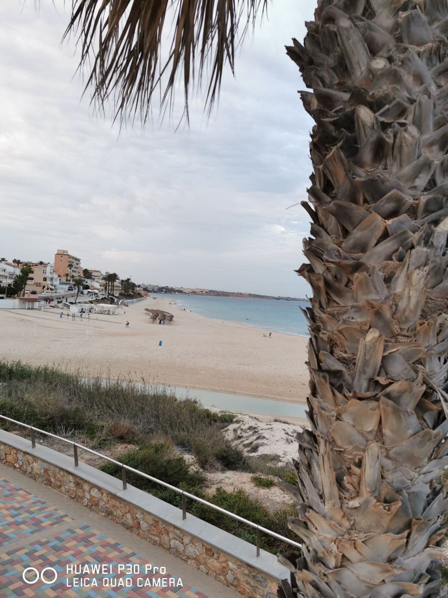 2 camera da letto Appartamento da affittare in Pilar de la Horadada con piscina garage - 1.200 € (Rif: 9301937)