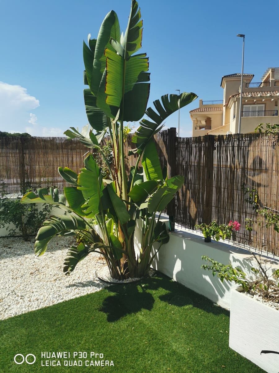 2 camera da letto Appartamento da affittare in Pilar de la Horadada con piscina garage - 1.200 € (Rif: 9301937)