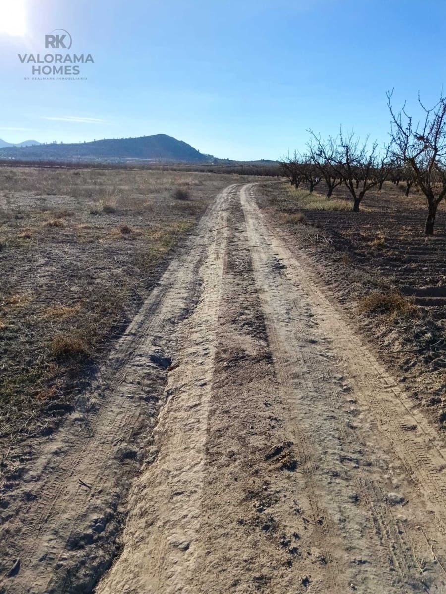 Tomt till salu i Ricote - 25 000 € (Ref: 9401777)