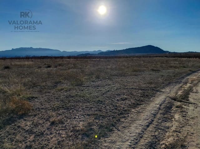 Bouwgrond te koop in Ricote - € 25.000 (Ref: 9401777)