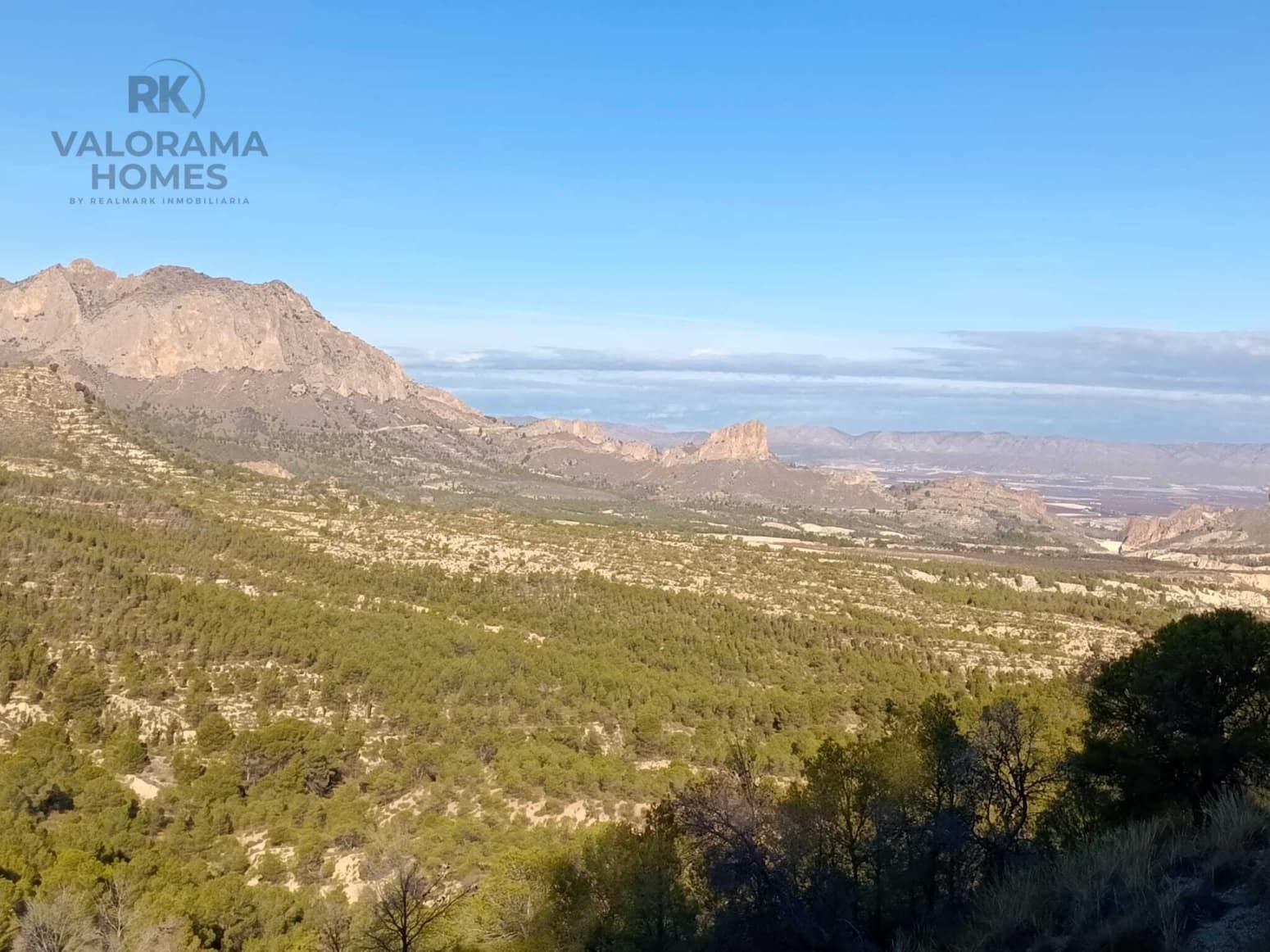 Tomt till salu i Ricote - 25 000 € (Ref: 9401777)