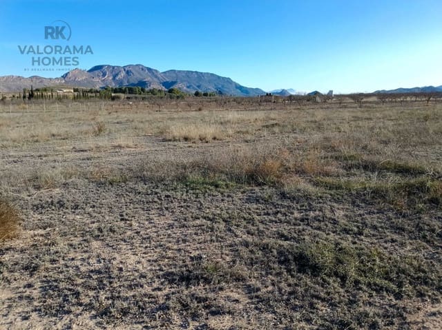 Bouwgrond te koop in Ricote - € 25.000 (Ref: 9401777)