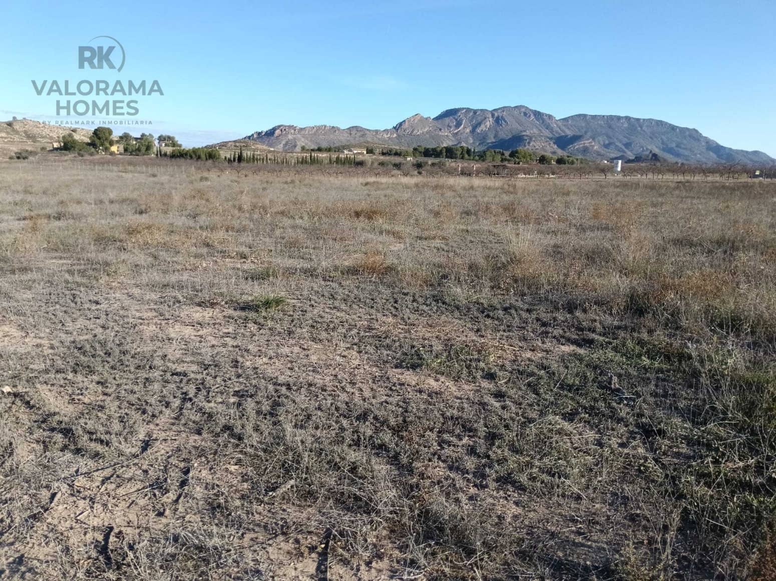 Tomt till salu i Ricote - 25 000 € (Ref: 9401777)