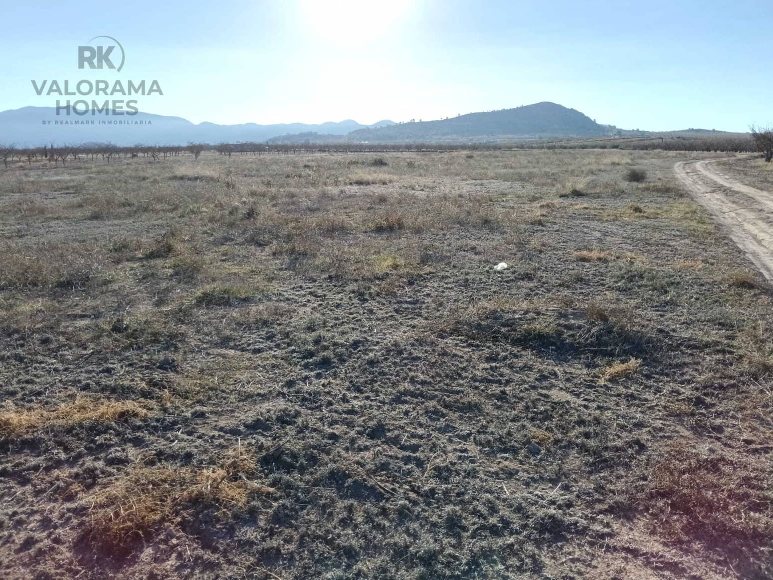 Tomt till salu i Ricote - 25 000 € (Ref: 9401777)