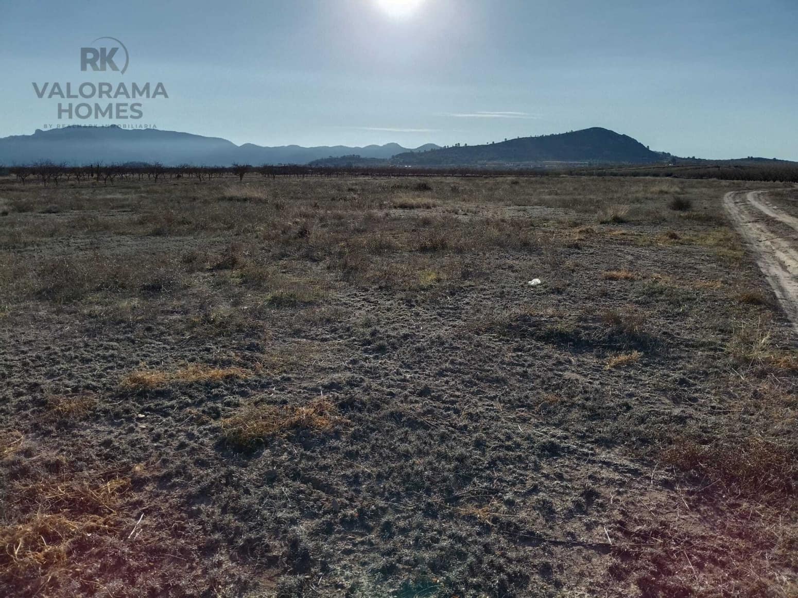 Tomt till salu i Ricote - 25 000 € (Ref: 9401777)