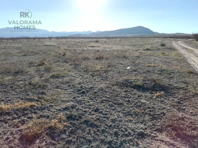 Bouwgrond te koop in Ricote - € 25.000 (Ref: 9401777)