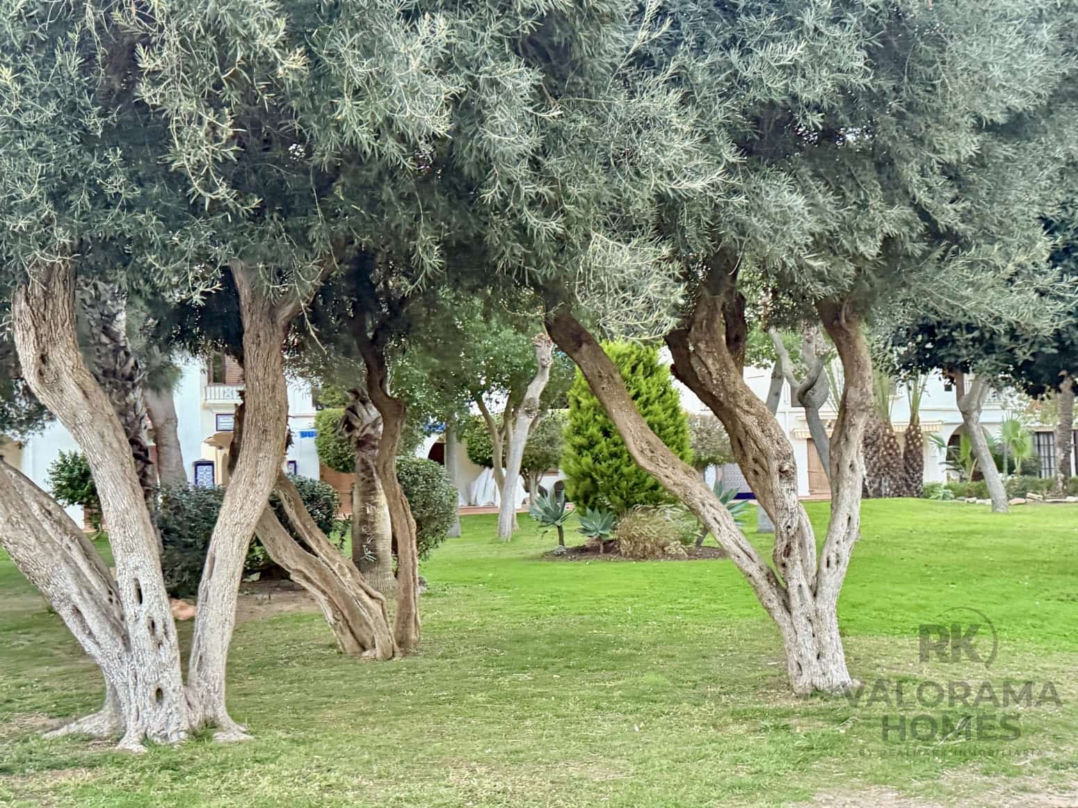 2 quarto Apartamento para venda em Cabo de Palos - 350 000 € (Ref: 9535264)