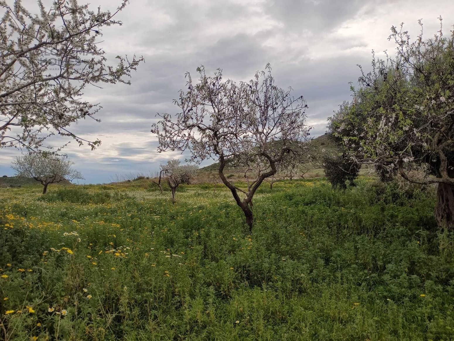 3 bedroom Villa for sale in Cartagena - € 78,000 (Ref: 9606382)