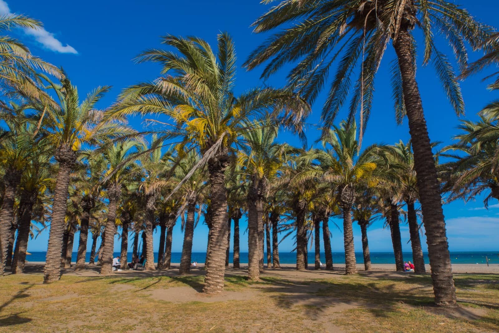 5 bedroom Villa for sale in Torremolinos - € 860,000 (Ref: 9849043)