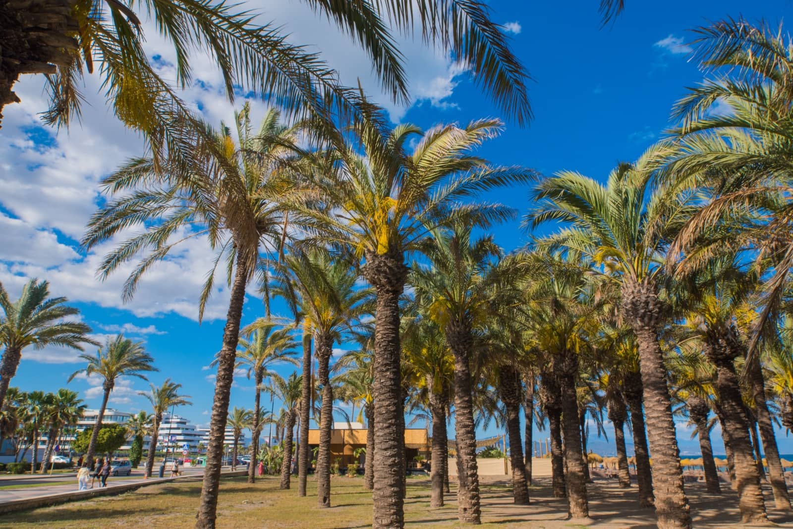 5 bedroom Villa for sale in Torremolinos - € 860,000 (Ref: 9849043)